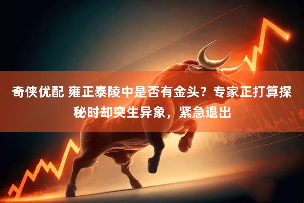 奇侠优配 雍正泰陵中是否有金头？专家正打算探秘时却突生异象，紧急退出