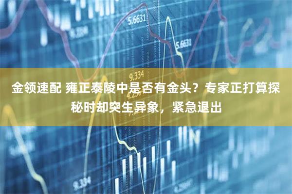 金领速配 雍正泰陵中是否有金头？专家正打算探秘时却突生异象，紧急退出