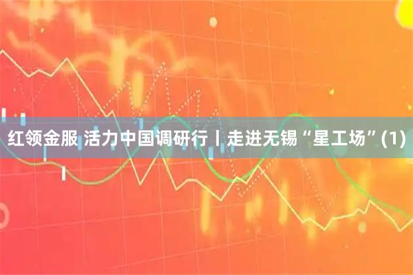 红领金服 活力中国调研行丨走进无锡“星工场”(1)
